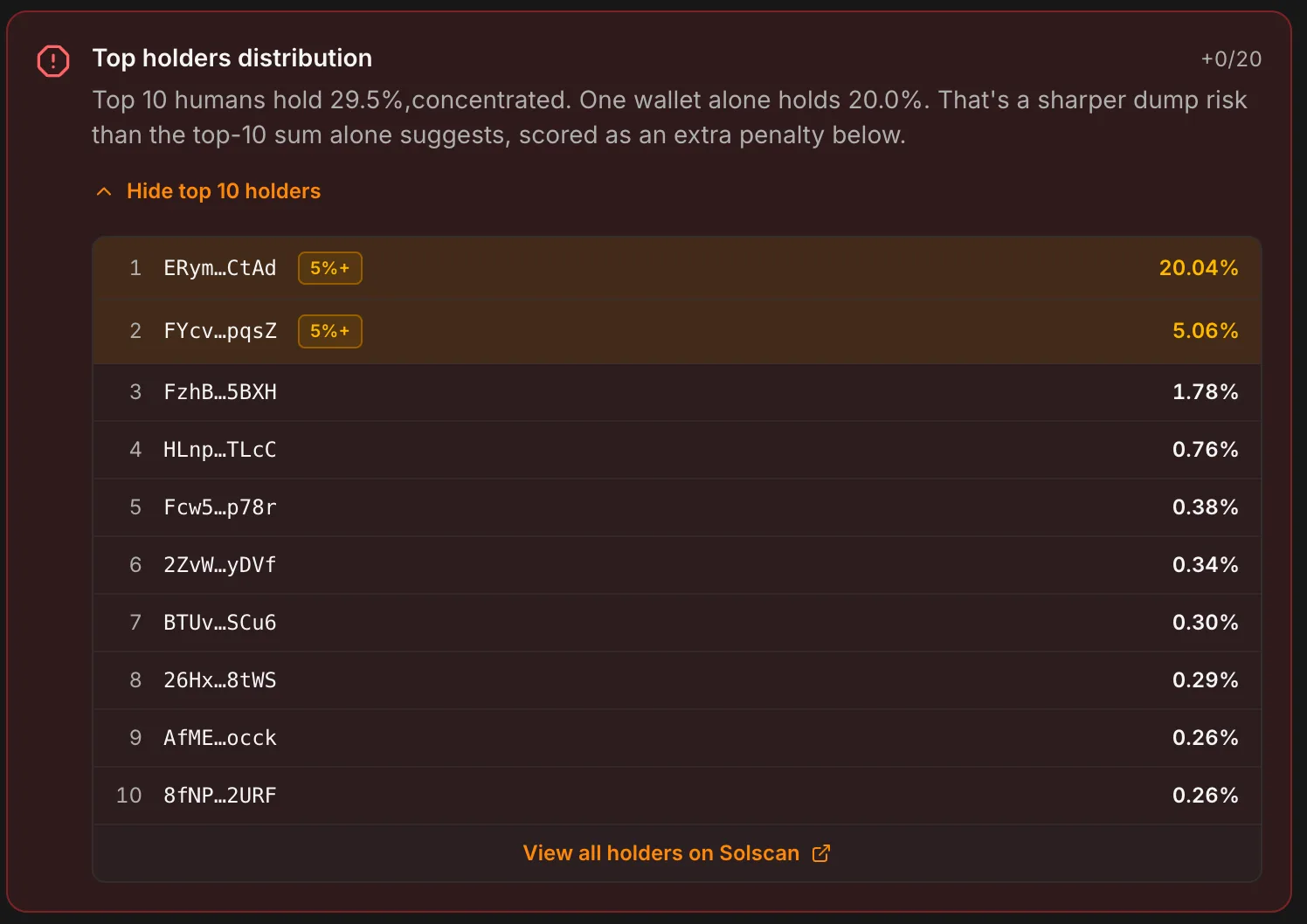Holders breakdown highlighting a wallet holding over 20% of supply individually, called out separately from the overall top-10 concentration figure